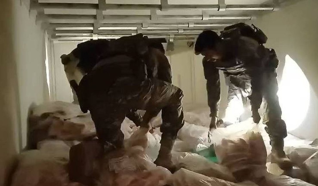 PRF aprende 5,3 toneladas de maconha congelada em carga de peixe