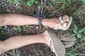 Dois homens são encontrados mortos em área de mata, em ﻿Porto de Pedras, Litoral Norte de Alagoas