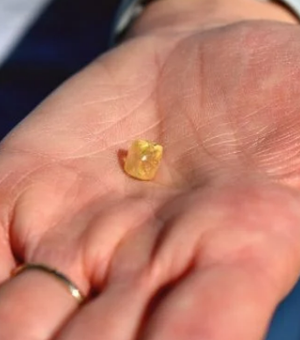 Aposentada encontra diamante de 4 quilates em parque dos EUA