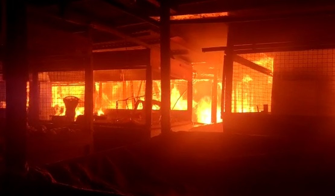 Vídeos. Incêndio de grandes proporções atinge o Mercado da Produção, em Maceió