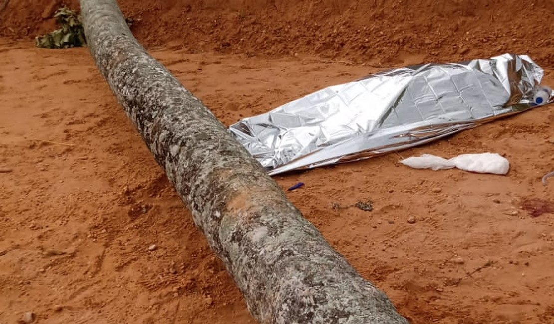 Mulher morre e criança fica ferida em queda de coqueiro em Sergipe