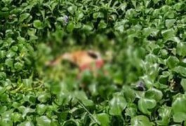 Cadáver sem cabeça é encontrado por populares na saída de festa em São Miguel dos Campos