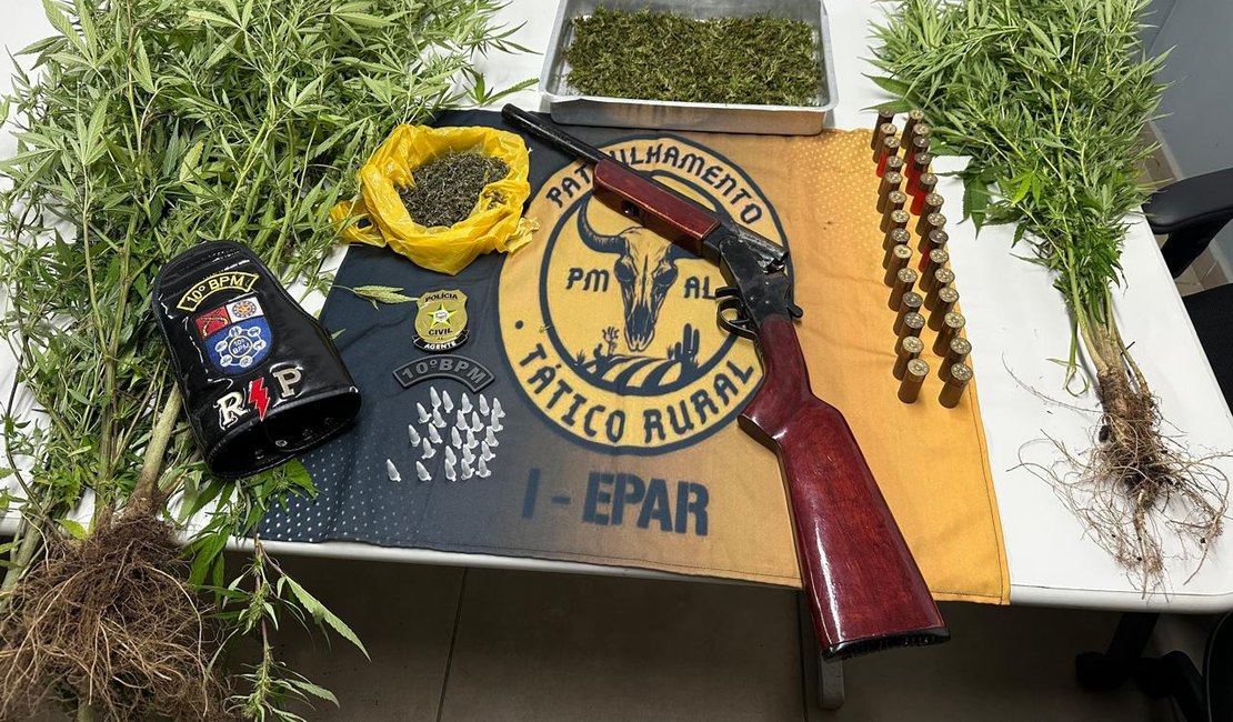 Operação encontra plantação de maconha em propriedade em Palmeira dos Índios; dono estava com espingarda e cocaína