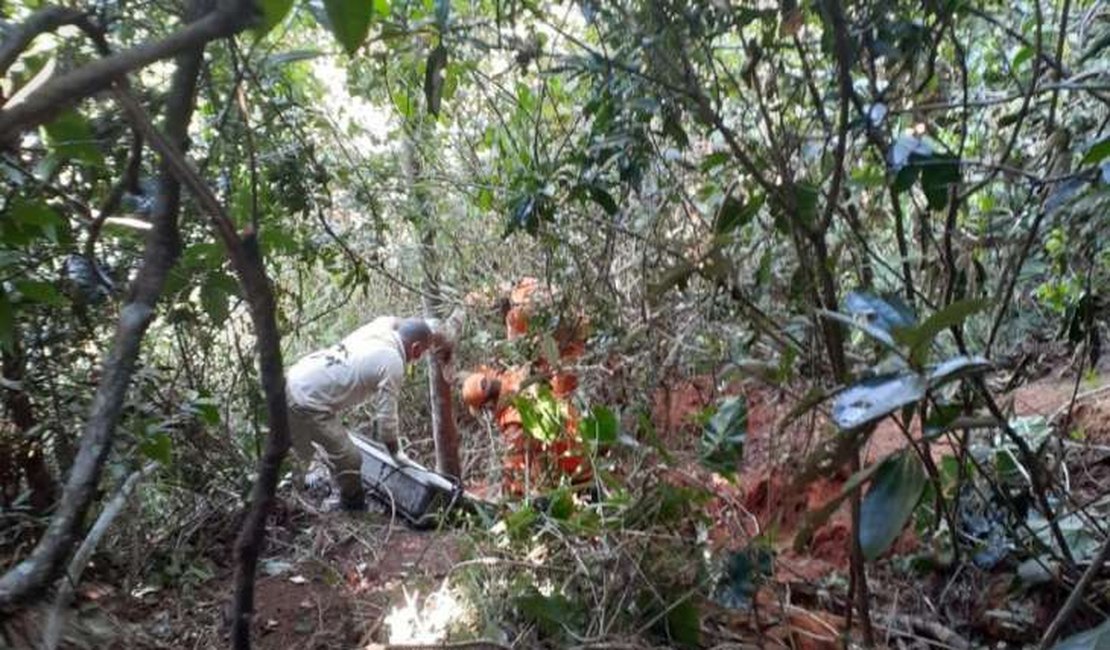 Homem encontrado morto em mata de São Miguel dos Campos é identificado