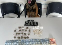 Cão farejador encontra drogas em área de mata e suspeito de 19 anos é preso, em Arapiraca