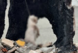 Gato é enforcado com fio em praça de Piaçabuçu