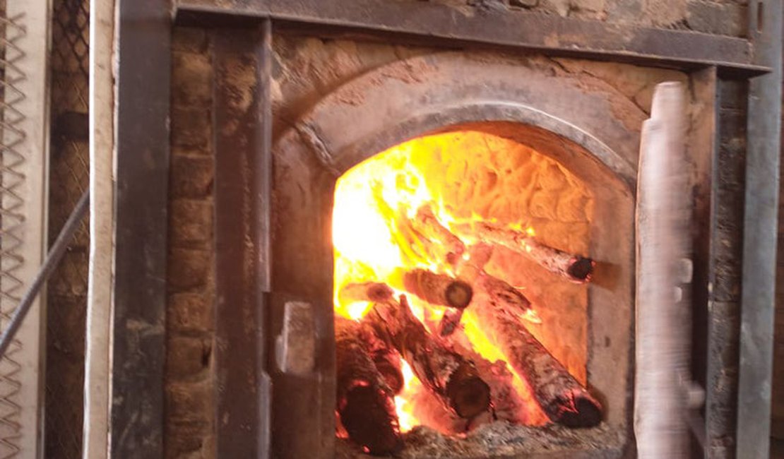 Polícia Civil incinera drogas apreendidas em operações no interior alagoano