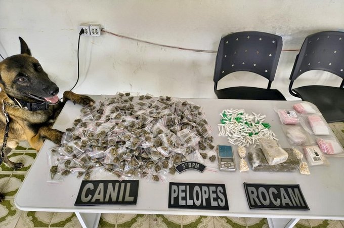 PM apreende 38 armas de fogo e mais de 665 Kg de drogas na última semana em Alagoas