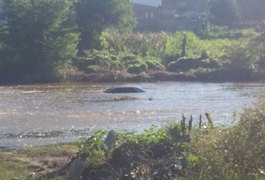 Veículo é encontrado submerso em rio de Santana do Ipanema