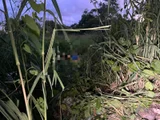 Jovem é morto a tiros na região do Parque das Árvores, na Cidade Universitária