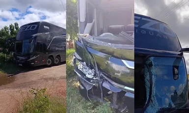 Ônibus do cantor Zezo atropela cavalo na BR-230, na Paraíba