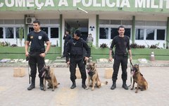 Semana em alusão ao Dia do Soldado