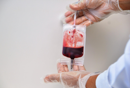 Doação de sangue após dengue: Hemoal orienta sobre prazos e medidas de segurança