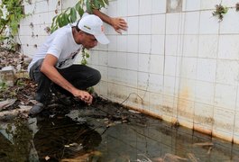 Casos do dengue são reduzidos em mais de 32% em Alagoas