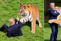 Trump posta vídeo feito por IA em que ele aparece lutando e abraçando tigre