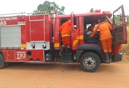 Incêndio em vegetação causa preocupação em moradores de povoado, na zona rural de Arapiraca