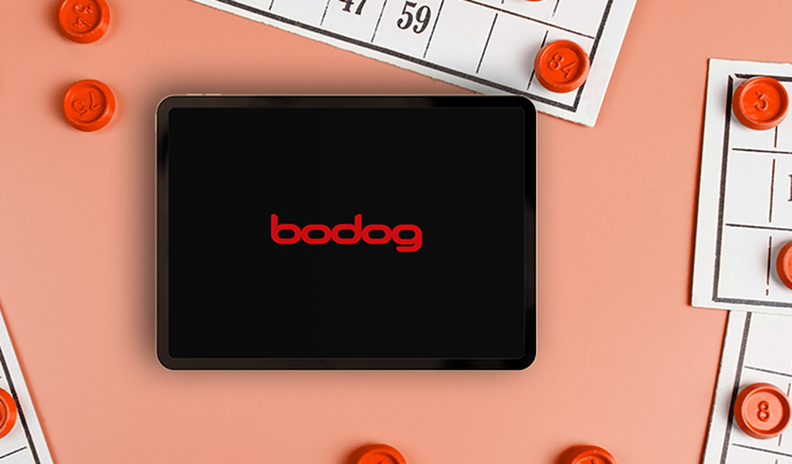 Bingo: onde jogar online?