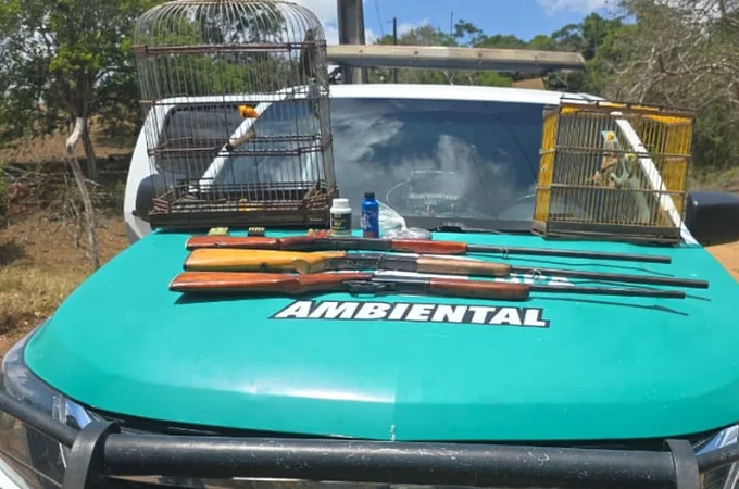 Polícia Ambiental prende homem que criava aves silvestres ilegalmente em residência, no interior de AL