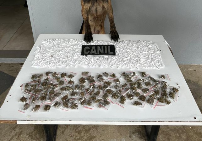 Cão farejador da PM encontra mais de 650 porções de drogas escondidas em área de mata em Arapiraca