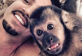 Macaco de estimação de Latino, Twelves morre atropelado no Rio