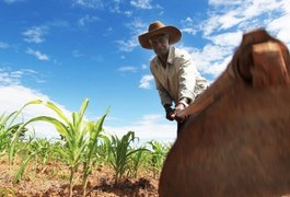 Alagoas receberá R$ 1 mi para fortalecer segurança alimentar e nutricional no Estado