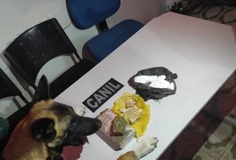 Canil do 3° Batalhão encontra 750 gramas de drogas dentro de carro em Arapiraca