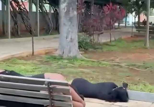 VÍDEO: Pessoas dormem em praça após show do cantor Pablo em cidade na Paraíba