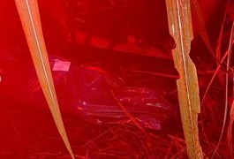 Após atropelar jovens, condutor foge colide carro em árvore e carona morre, no interior alagoano