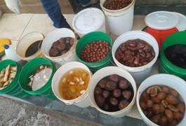 Ação de fiscalização apreende 250 litros de cachaças artesanais clandestinas, em Alagoas