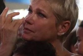 Marcos Mion substituirá Xuxa em seu programa nesta segunda (14)
