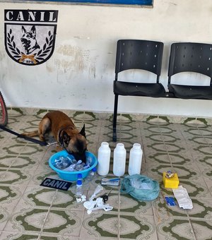 Planalto: Com a ajuda de cão farejador, polícia encontra drogas na casa de homem que bateu na namorada
