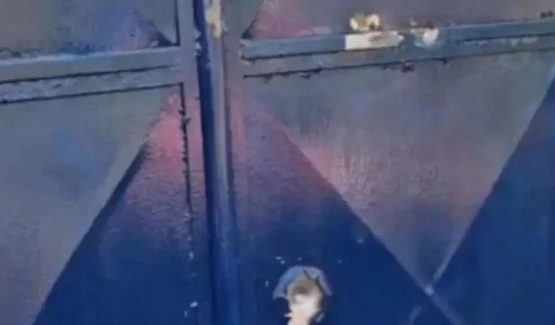 Escola indígena é alvo de tiros em Palmeira dos Índios; Funai aciona PF