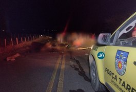 Homem e mulher que estavam em motocicleta morrem após veículo colidir em boi, em Girau do Ponciano