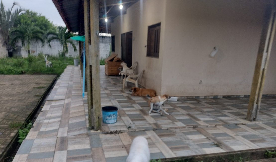 Protetora de animais precisa de ajuda para manter abrigo e tratamento de gatos e cachorros em Arapiraca