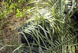 PM encontra moto de arapiraquense em Zona Rural de Feira Grande