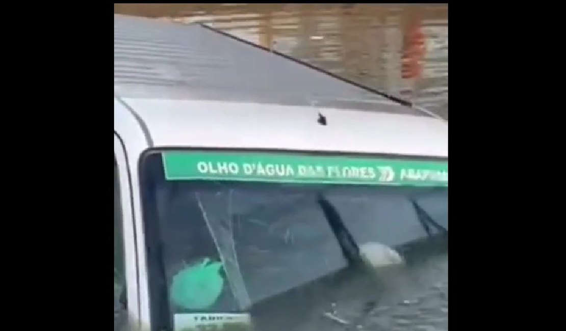 Van que faz linha Olho D'Água das Flores Arapiraca cai em açude após colisão na AL 220