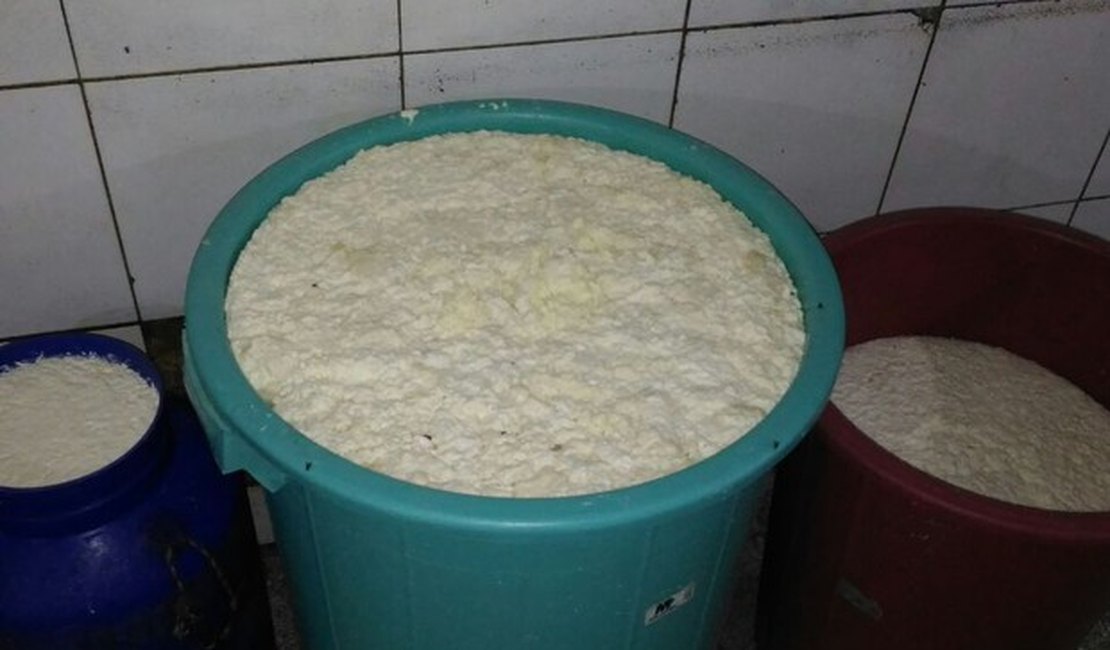 Operação interdita fábrica de laticínios no Agreste