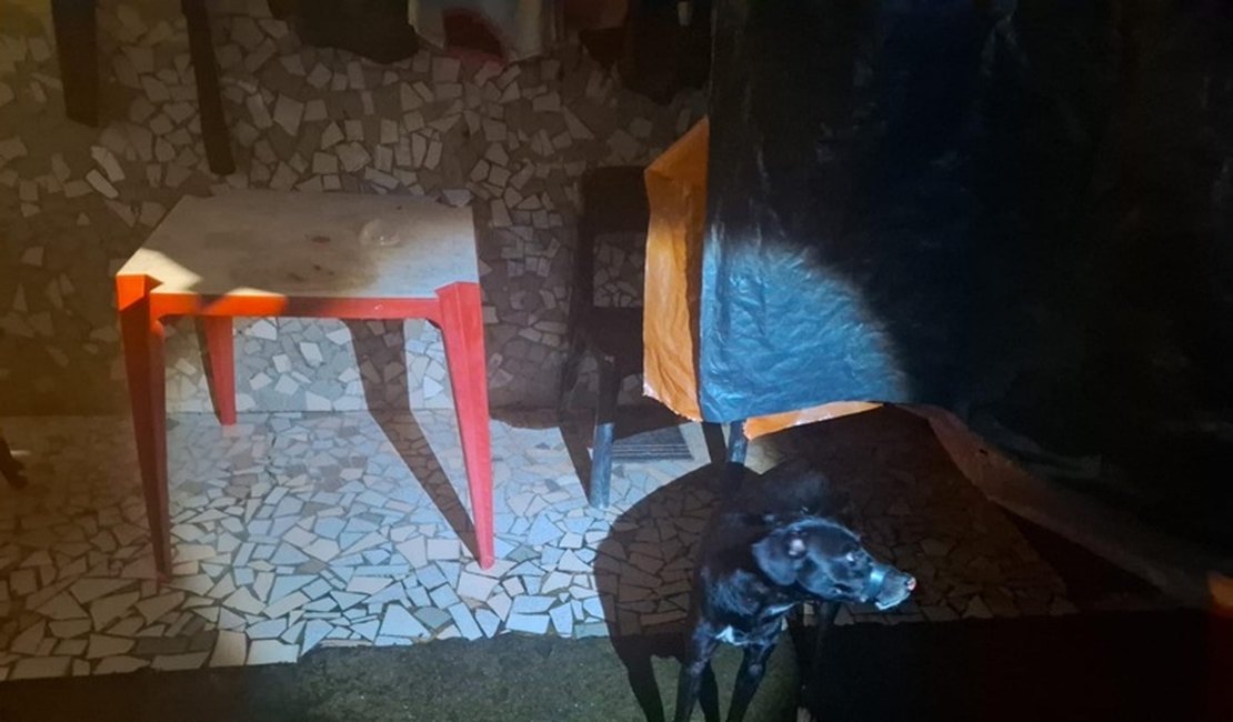 Polícia Militar prende suspeito de vedar boca de cachorro com fita isolante em Maceió