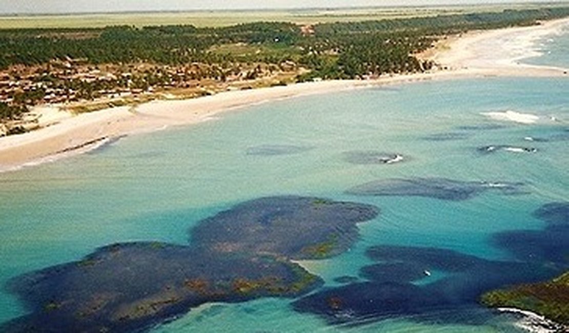 IMA divulga relatório de balneabilidade das praias alagoanas