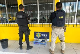 Canil do 3º Batalhão e PRF apreendem mais de 12kg de maconha em ônibus interestadual no Agreste de AL