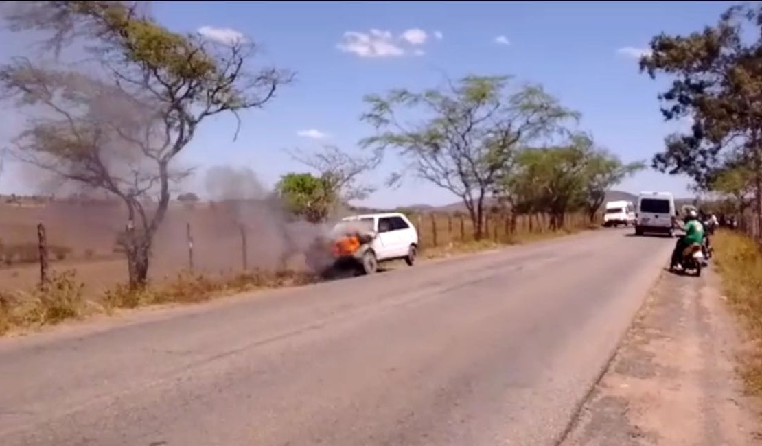 |Vídeo| Veículo pega fogo enquanto transitava pela AL 115 em Girau do Ponciano