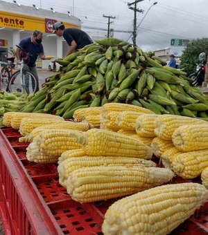 Vídeo. Mesmo com Pandemia, comércio de milho não sofre prejuízos em Arapiraca