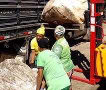 Arapiraca firma parceria com organização internacional para desenvolvimento de cadeias sustentáveis de resíduos sólidos