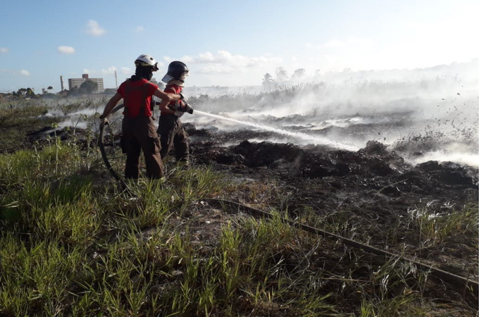 Bombeiros combatem incêndio em vegetação de Palmeira dos Índios