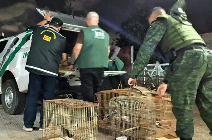 FPI resgata mais de 30 aves silvestres em Arapiraca