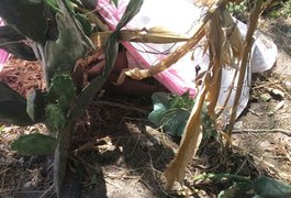 Agricultor é morto a tiros em Girau do Ponciano