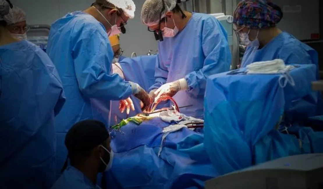 Médicos fazem transplante inédito de coração de porco para humano e salvam homem à beira da morte
