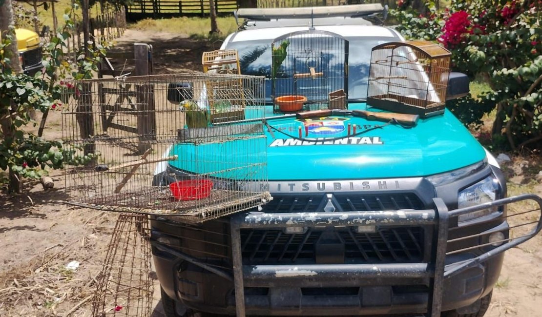 Batalhão Ambiental apreende arma de fogo e resgata animais silvestres no Agreste alagoano