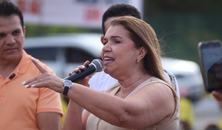 Pré-candidata a deputada federal defende maior apoio do poder público aos protetores de animais