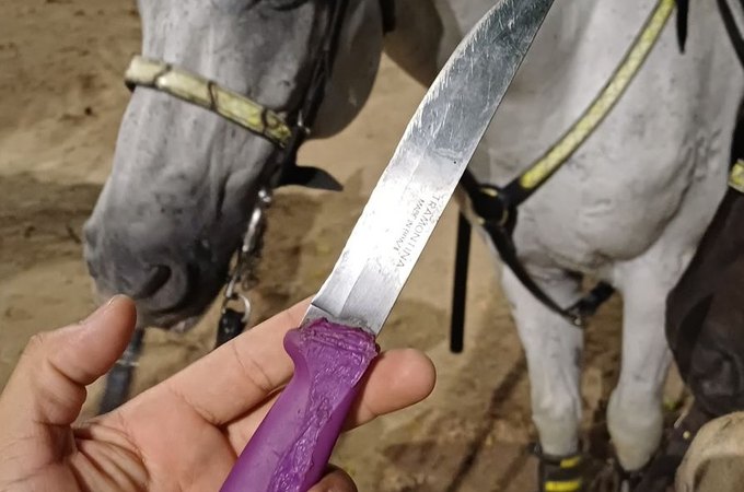 Cavalaria da PM lavra dois TCOs por porte de arma branca em praça pública de Arapiraca